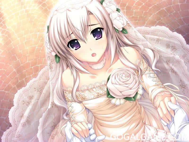 [Akabeesoft2] G线上的魔王